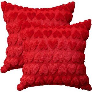 colorlife Valentine's Day Love Heart Throw Pillow Cover Set of 2, 18 x 18